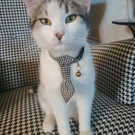 Terralieta * Roseto Degli Abruzzi