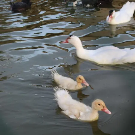 Terralieta Roseto Degli Abruzzi