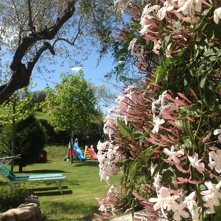 Terralieta ロゼート・デッリ・アブルッツィ