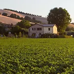 Terralieta
