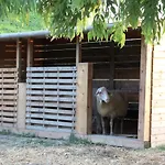 Farm stay Terralieta