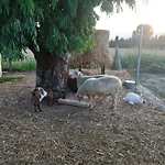 Terralieta Farm stay