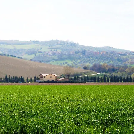 Terralieta *