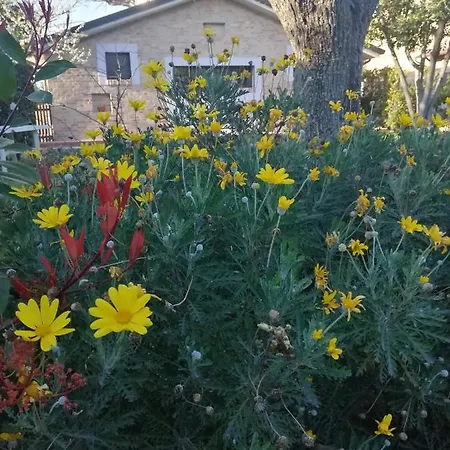 Lantgård Terralieta Roseto Degli Abruzzi