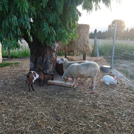 Terralieta Farm stay