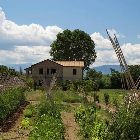 Farm stay Terralieta Roseto Degli Abruzzi
