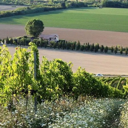 Terralieta