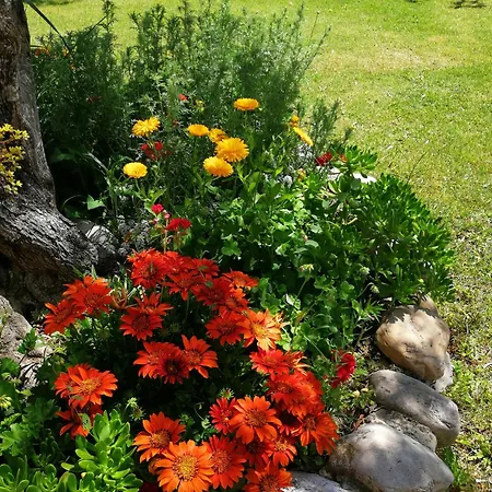 Farm stay Terralieta Roseto Degli Abruzzi