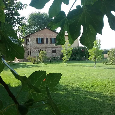 Terralieta *