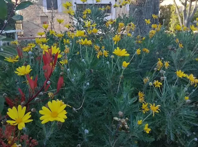 Alloggio per agriturismo Terralieta Roseto Degli Abruzzi