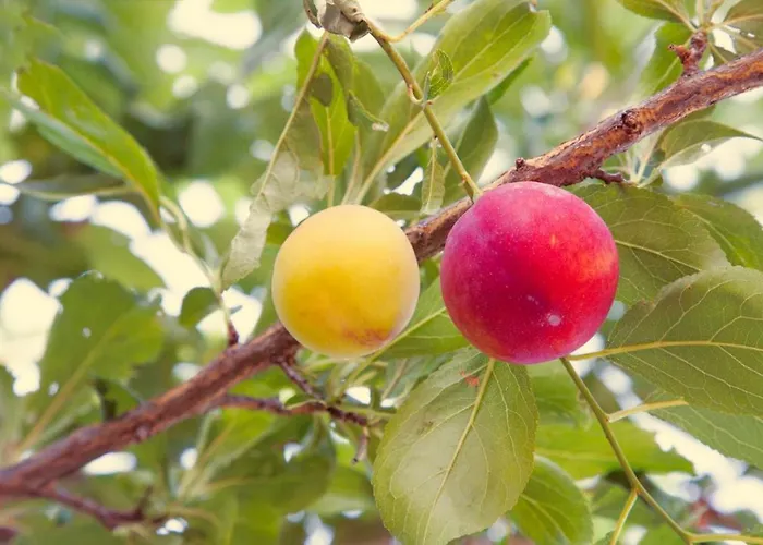 Terralieta Alloggio per agriturismo *