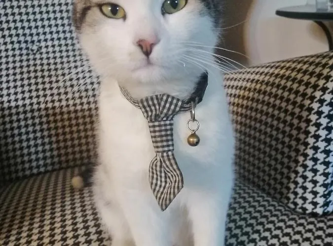 Terralieta * Roseto Degli Abruzzi