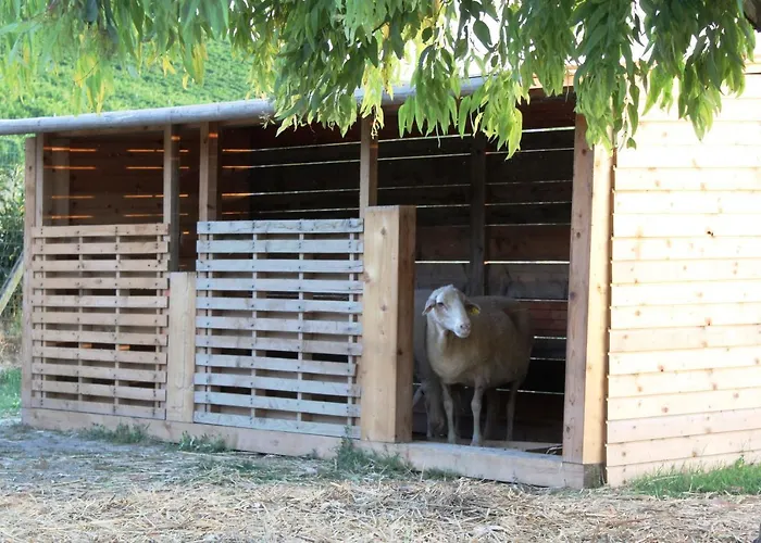 Alojamento de Turismo Rural Terralieta