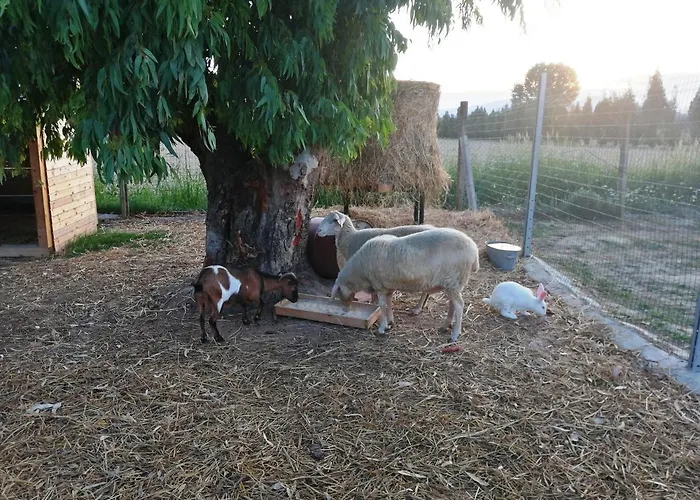 Terralieta Alojamento de Turismo Rural