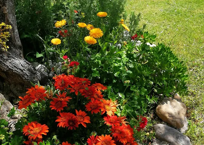 Alloggio per agriturismo Terralieta Roseto Degli Abruzzi